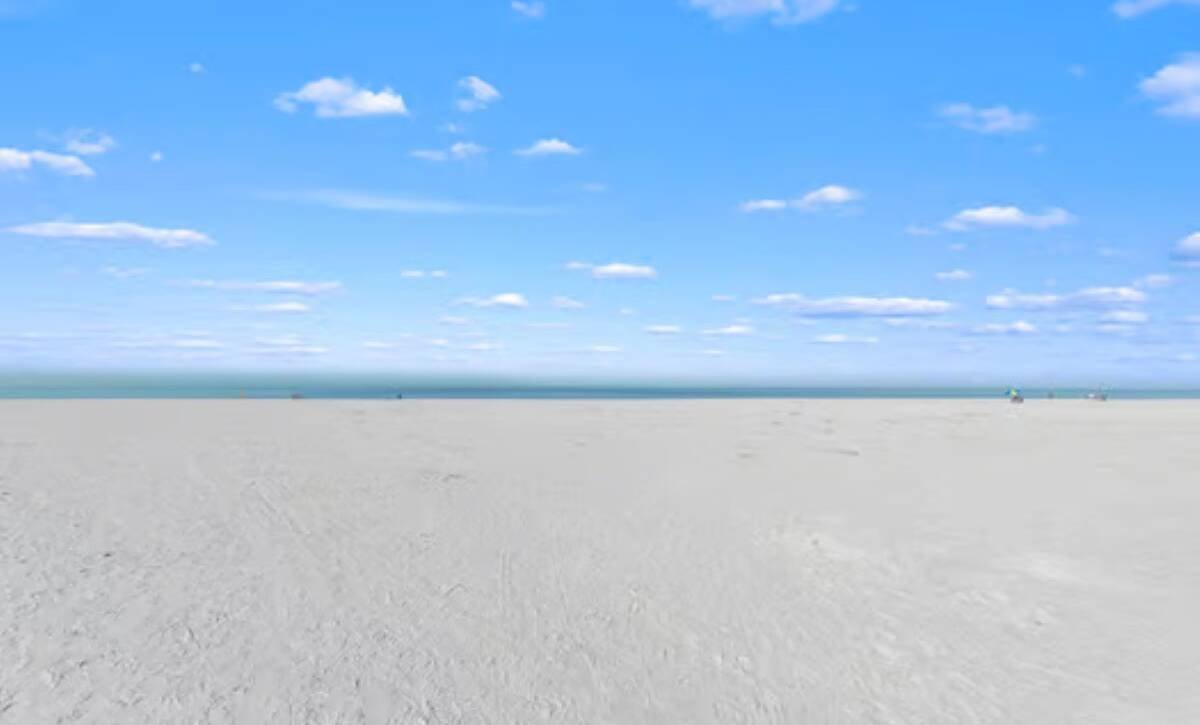 large-019c4d74-a409-7335-9be8-51c0f30eed22